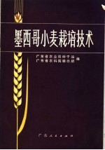 墨西哥小麦栽培技术