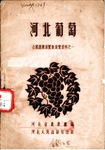 河北葡萄