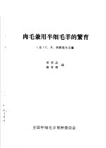 肉毛兼用半细毛羊的繁育