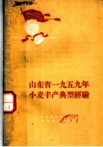 山东省1959年小麦丰产典型经验