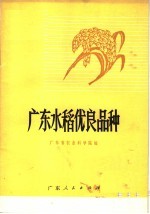 广东水稻优良品种