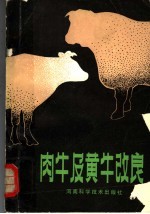 肉牛及黄牛改良