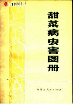 甜菜病虫害图册