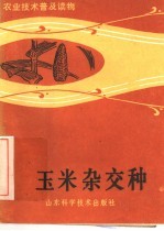 玉米杂交种