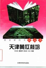 天津黄瓜栽培