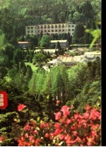 庐山植物园 摄影画册