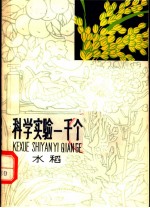 科学实验一千个 水稻