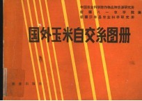 国外玉米自交系图册