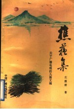 樵苏集 关于广播电视的几篇文稿