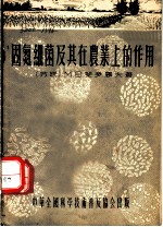固氮细菌及其在农业的作用