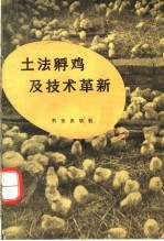 土法孵鸡及技术革新