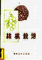 核桃栽培