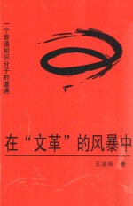 在“文革”的风暴中 一个普通知识分子的遭遇