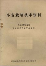 小麦栽培技术资料
