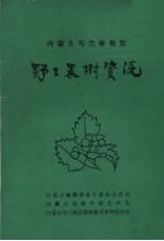 内蒙古乌兰察布盟 野生果树资源
