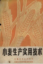 小麦生产实用技术