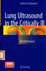 Lung Ultrasound in the Critically lll
