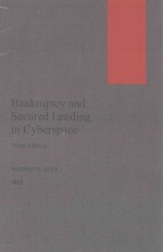 Bankruptcy and Secured Lending in Cyberspace