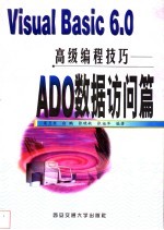 Visual Basic 6.0高级编程技巧 ADO数据访问篇