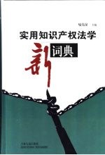 实用知识产权法学新词典