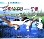 自然生灵-动物 鸟类 上