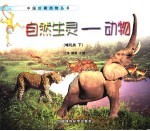 自然生灵-动物 哺乳类 下