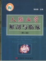 人脑血管解剖与临床