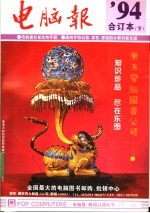电脑报 1994年合订本 下