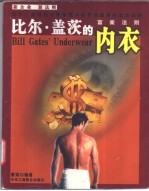 比尔·盖茨的内衣 富豪法则