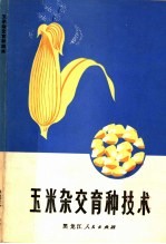 玉米杂交育种技术
