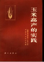 玉米高产的实践
