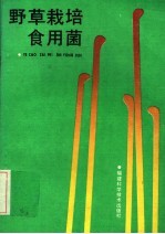 野草栽培食用菌