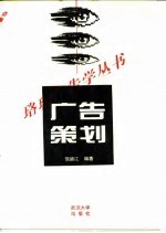 广告策划