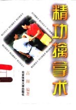 精功擒拿术