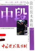 中国武术段位制 中段位技术教程 3 四-六段 南拳·散手类