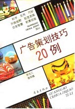 广告策划技巧20例