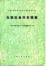 白族社会历史调查