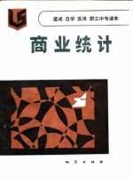 商业统计