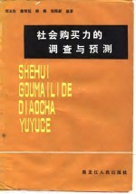 社会购买力的调查与预测