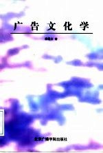 广告文化学