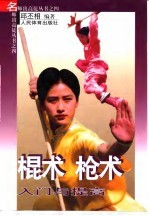 棍术 枪术入门与提高