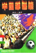 中国球迷潮