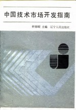中国技术市场开发指南