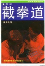 图解截拳道技击全书