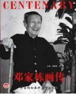 邓家栋画传
