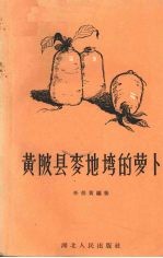 黄陂县麦地塆的萝卜