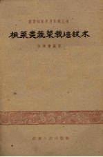根菜类蔬菜栽培技术