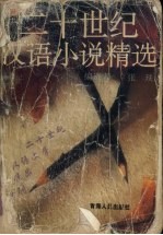二十世纪汉语小说精选 上