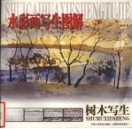 水彩画写生图解 树木写生