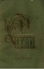 水稻密植
